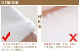 北辰星秋冬新款毛披肩 可愛(ài)新娘毛披肩 白色婚紗禮服旗袍小披肩